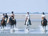 Equitation en Baie de Somme